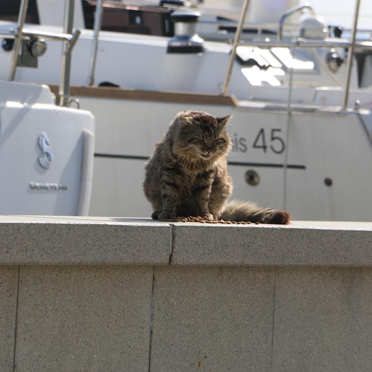 Life aboard a yacht